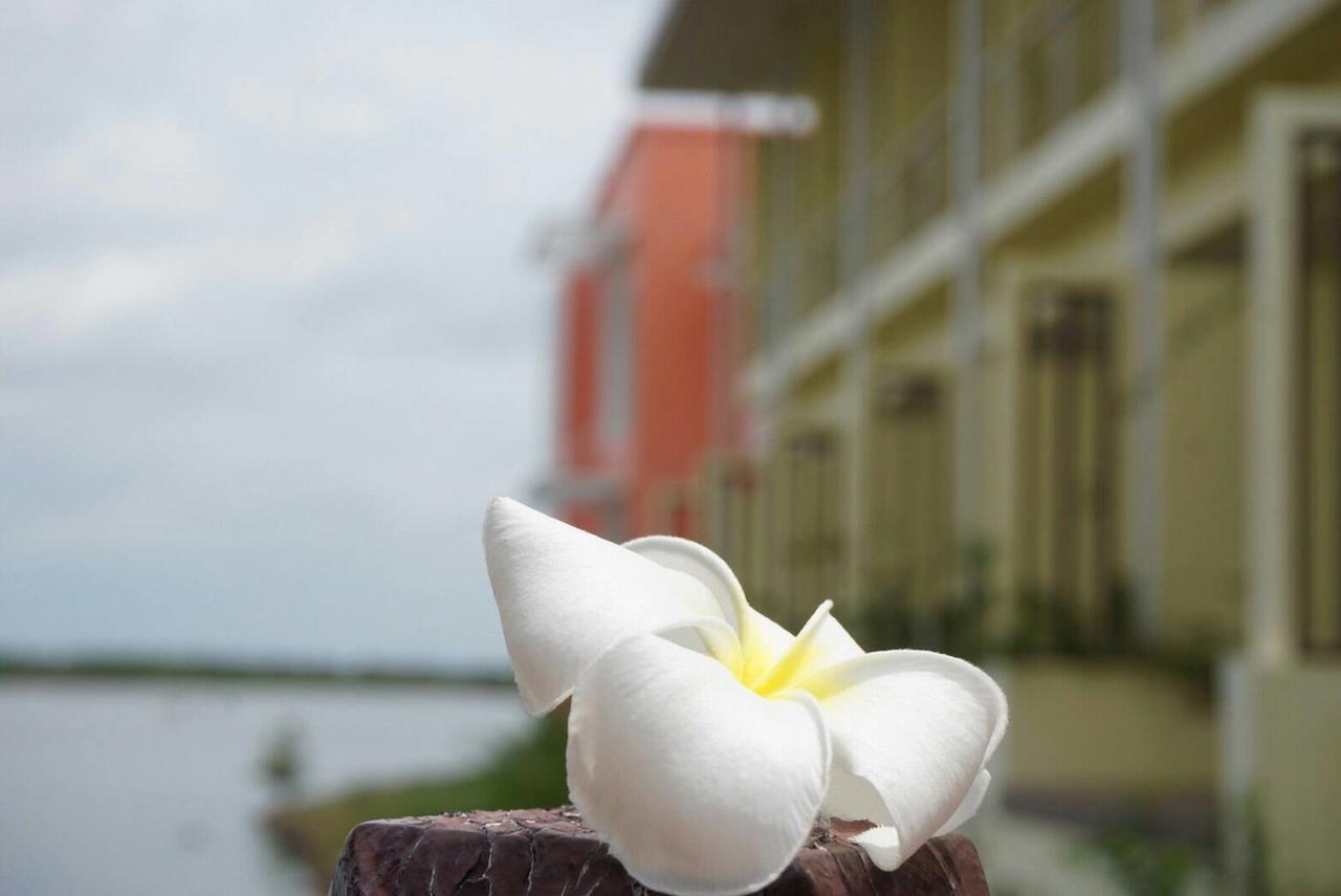 Baan Talay See Cream Resort Samut Songkhram Dış mekan fotoğraf